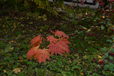 Similar image 22315312