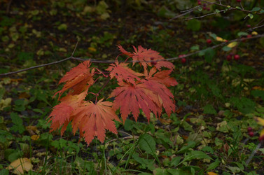 Similar image 22331583