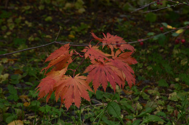 Similar image 22332780