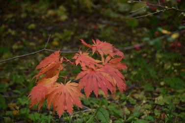 Similar image 22315313