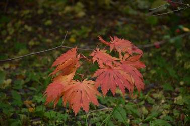 Similar image 22332781