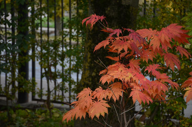 Similar image 22315315