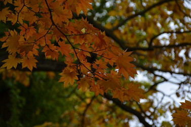 Similar image 22332782