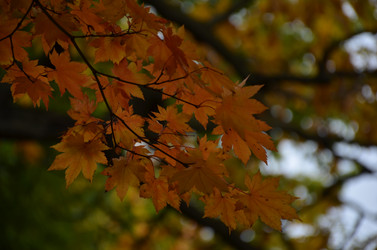 Similar image 22332783