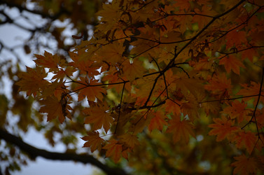 Similar image 22332784