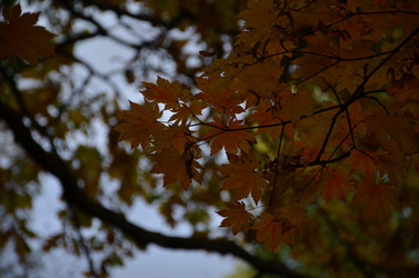 Similar image 22332785