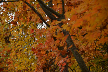 Similar image 22332786