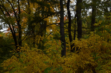 Similar image 22332787