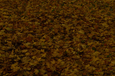 Similar image 22315317