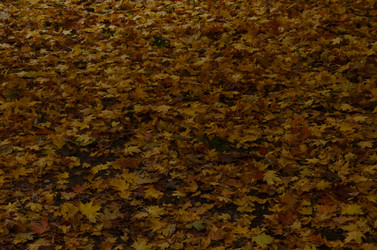 Similar image 22315318