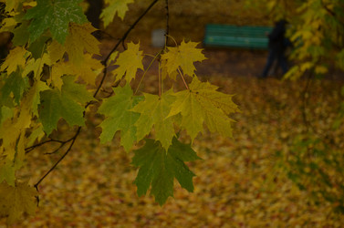 Similar image 22315319