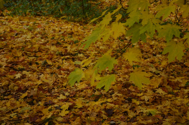 Similar image 22315320