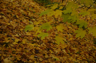 Similar image 22331586