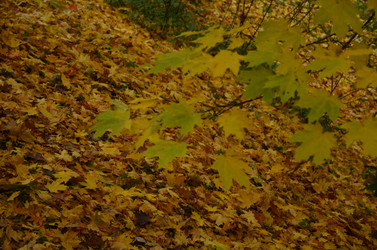 Similar image 22315321