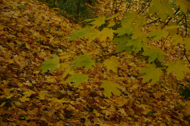 Similar image 22332789