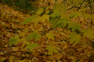 Similar image 22331587