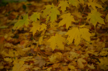 Similar image 22315322