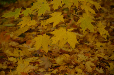 Similar image 22332791