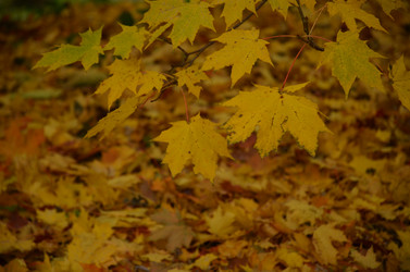 Similar image 22331588