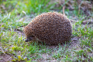 Similar image 22311361