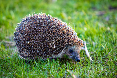 Similar image 22311362