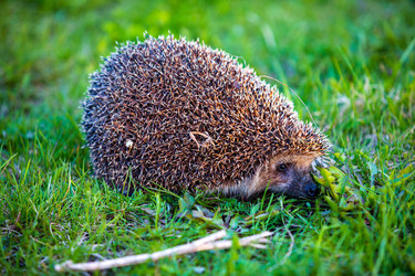 Similar image 22311364