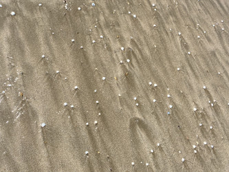 Similar image 22314912