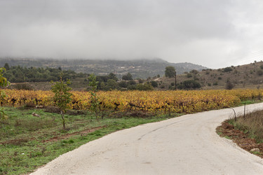 Similar image 22326958