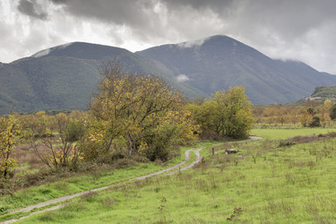 Similar image 22318430