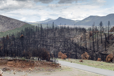 Similar image 22326959