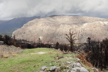 Similar image 22308639