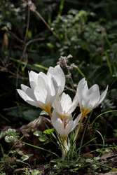 Similar image 22326962