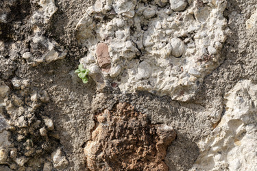 Similar image 22326963