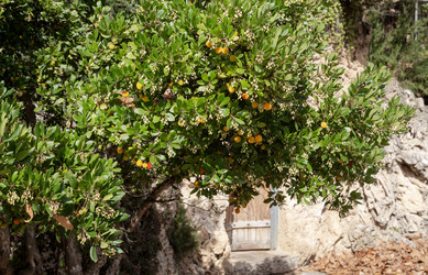 Similar image 22326964