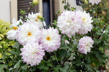 Similar image 22326966