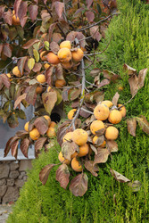 Similar image 22308643