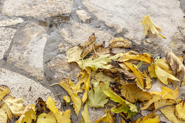 Similar image 22318434