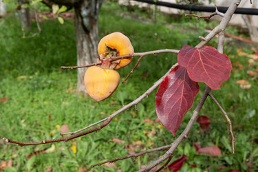 Similar image 22326967