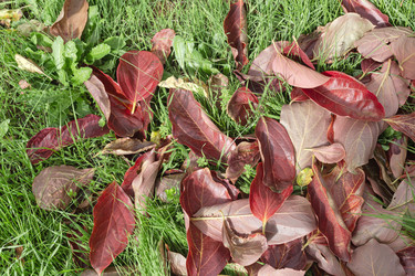 Similar image 22314828