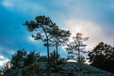 Similar image 22311745