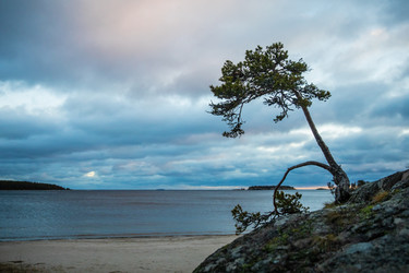 Similar image 22311746