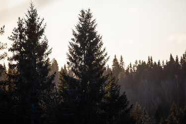 Similar image 22311749