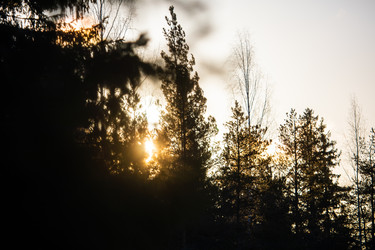 Similar image 22311750