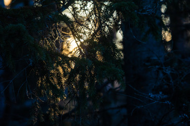 Similar image 22311752