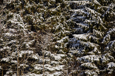 Similar image 22311757