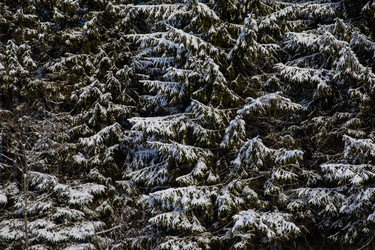 Similar image 22311758