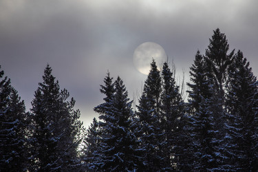 Similar image 22311759