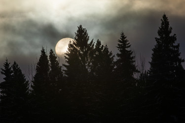 Similar image 22311760