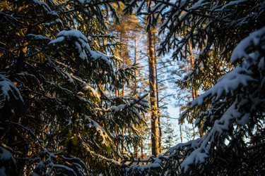 Similar image 22311762