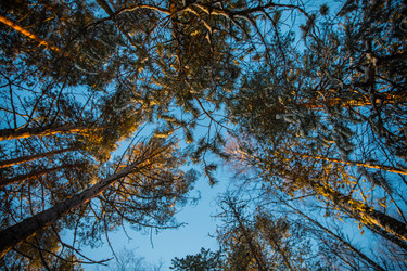 Similar image 22311763